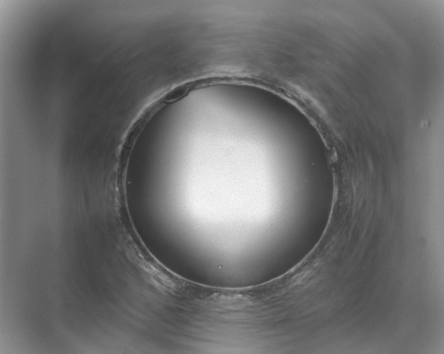 X0000074951168200609152023