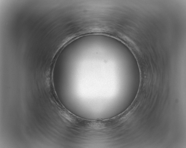 X0000074951170200609152023