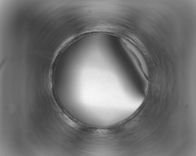X0000074951180200609152023