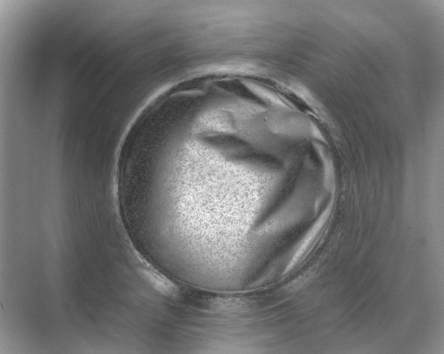 X0000074951232200609152022