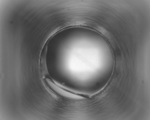 X0000074951234200609152022
