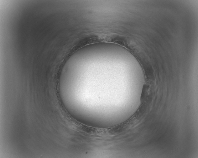 X0000074951249200609152021