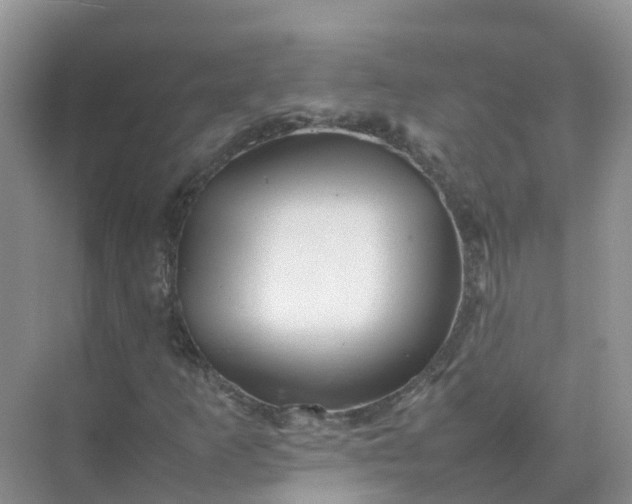 X0000074951253200609152021