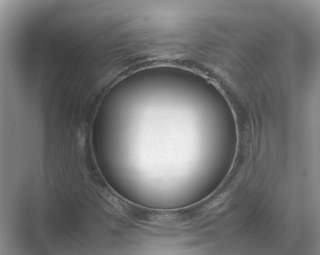 X0000074951257200609152021