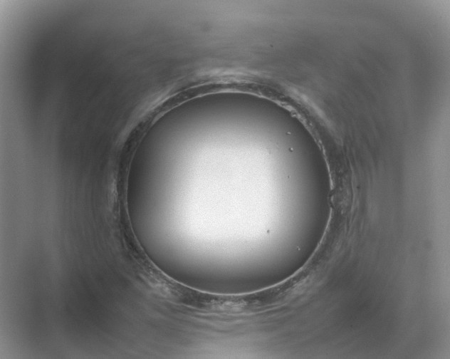 X0000074951261200609152021