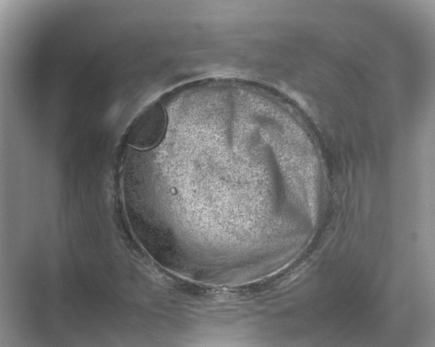 X0000074951263200609152021