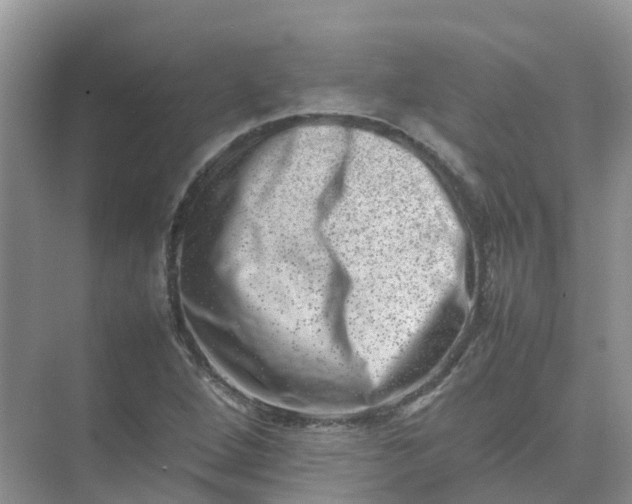 X0000074951264200609152021