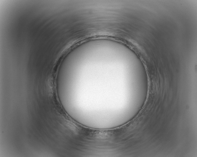 X0000074951266200609152021