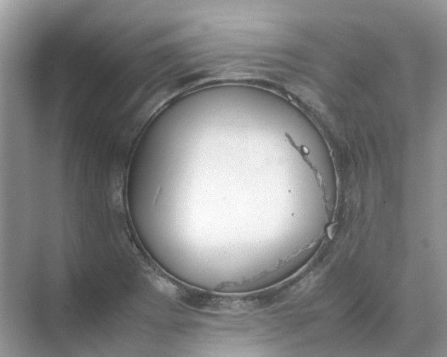 X0000074951273200609152021