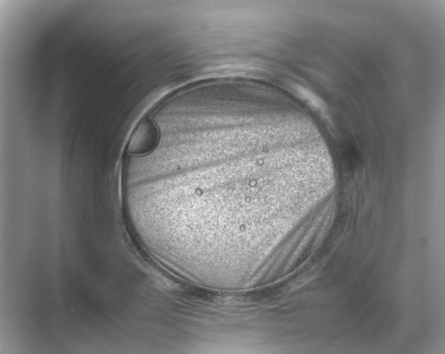 X0000074951275200609152021