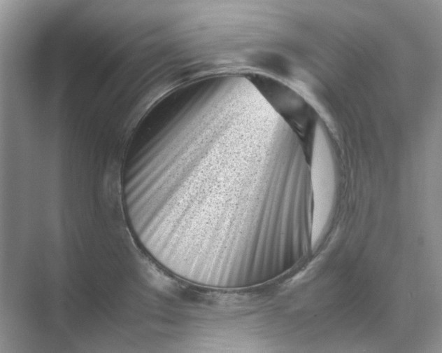 X0000074951289200609152021