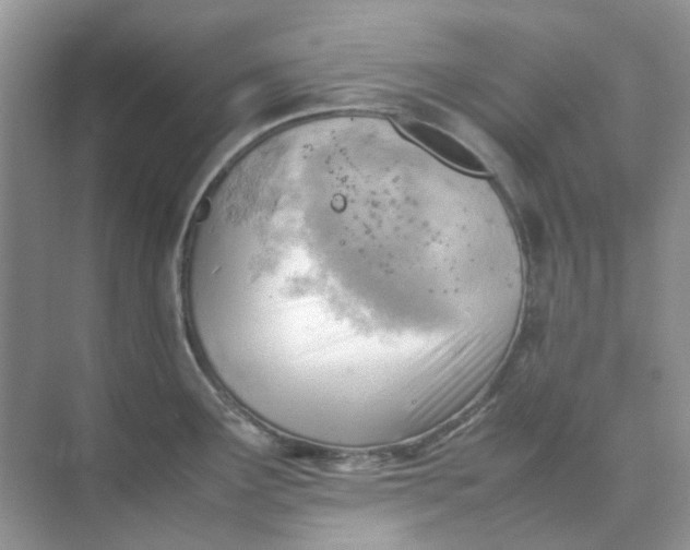 X0000074951291200609152021