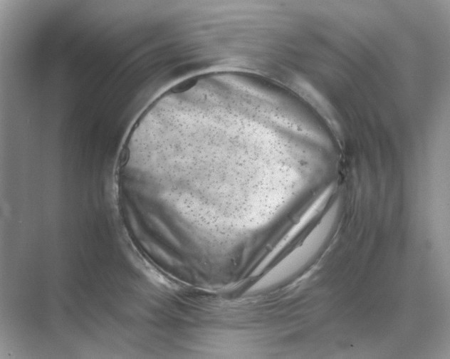 X0000074951292200609152021