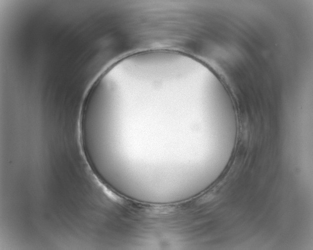 X0000074951294200609152021