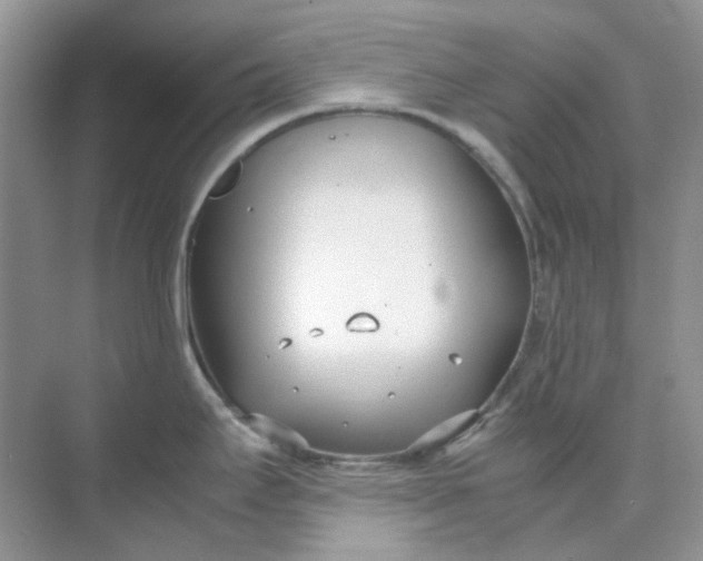 X0000074951295200609152021