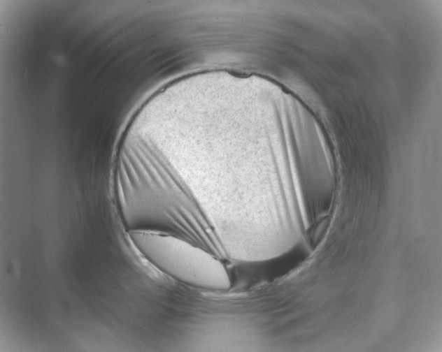 X0000074951296200609152021