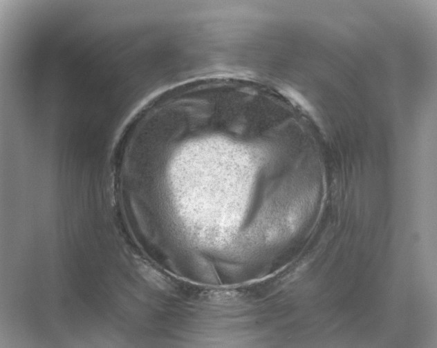 X0000074951310200609152020