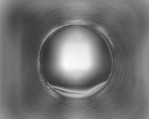 X0000074951328200609152020