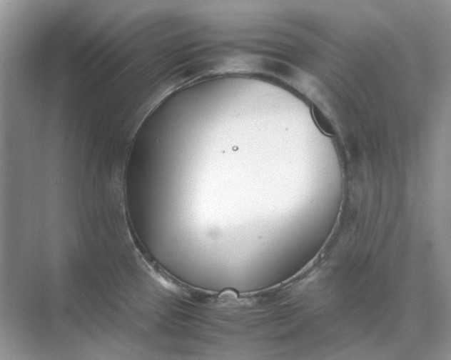 X0000074951337200609152021