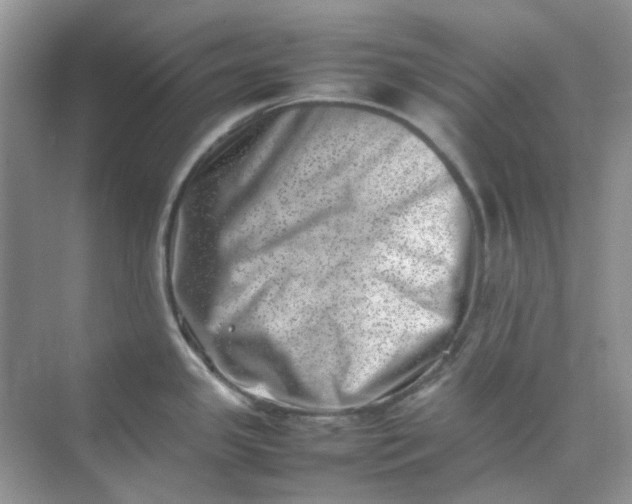 X0000074951341200609152021