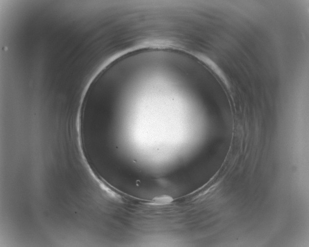 X0000074951343200609152021