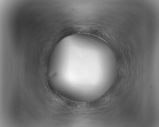 X0000074951345200609152020