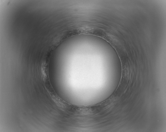 X0000074951346200609152020