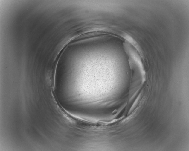 X0000074951377200609152019