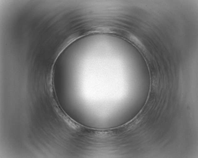 X0000074951378200609152019
