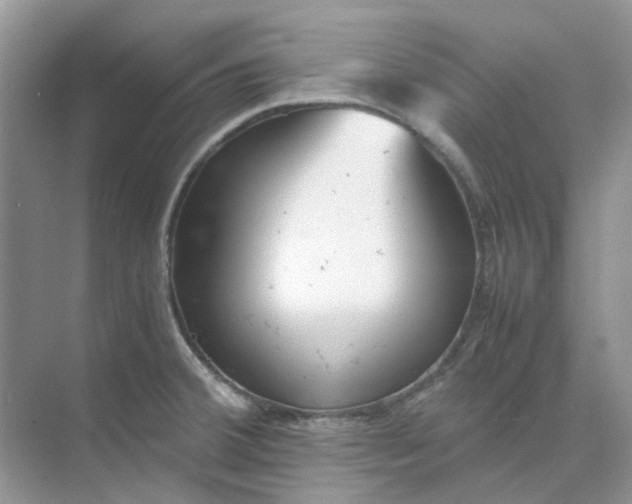 X0000074951380200609152019