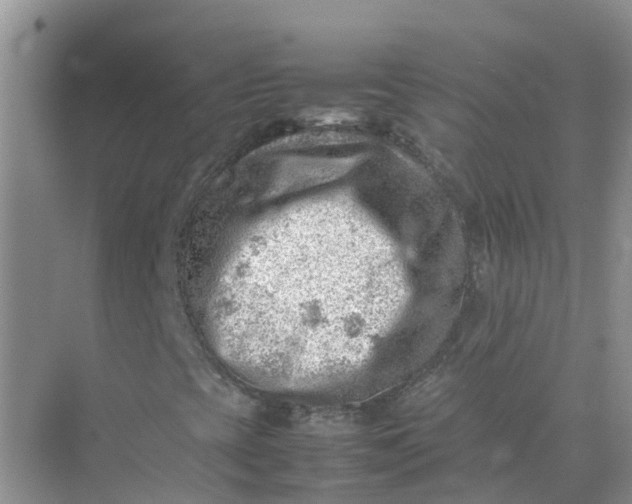 X0000074951393200609152018