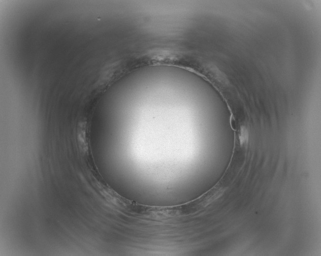 X0000074951396200609152018