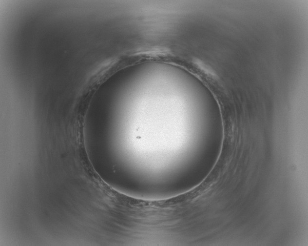 X0000074951398200609152018