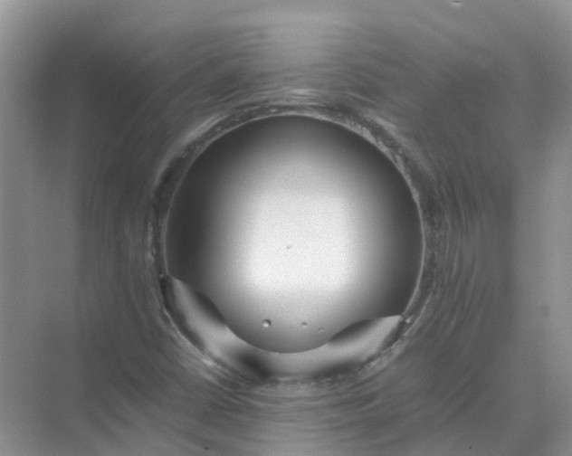 X0000074951402200609152018