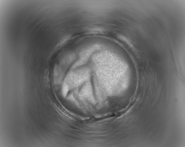 X0000074951403200609152018