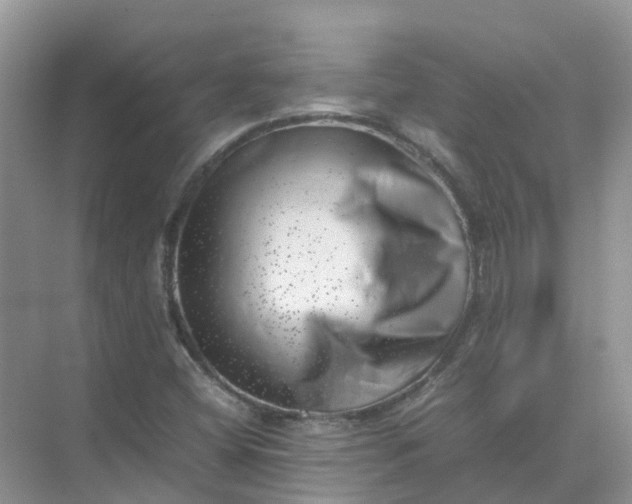 X0000074951404200609152018