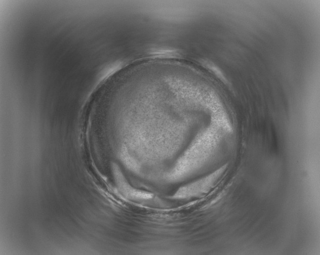 X0000074951405200609152018