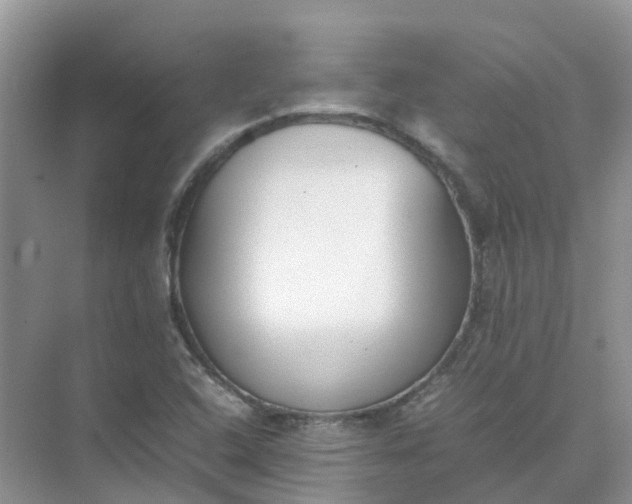 X0000074951408200609152018