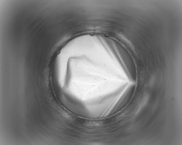 X0000074951411200609152019