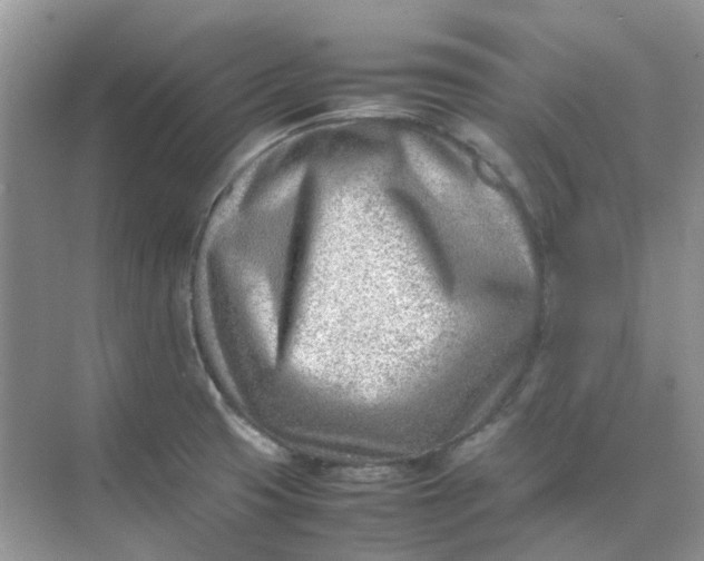 X0000074951425200609152019