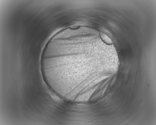X0000074951427200609152019