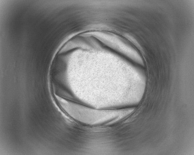 X0000074951440200609152019