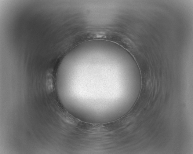 X0000074951442200609152018