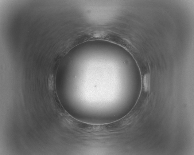 X0000074951443200609152018