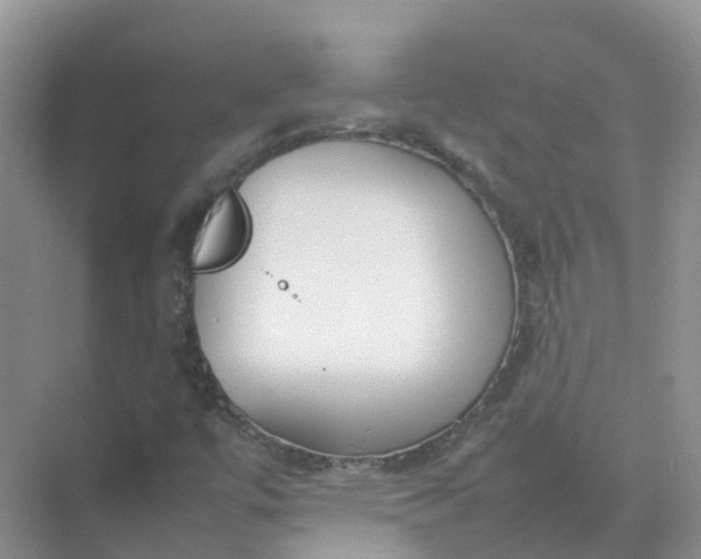 X0000074951447200609152018