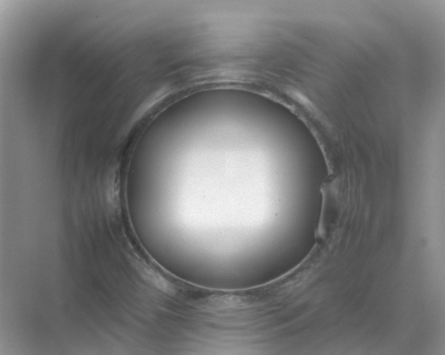 X0000074951450200609152018