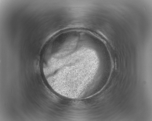 X0000074951452200609152018