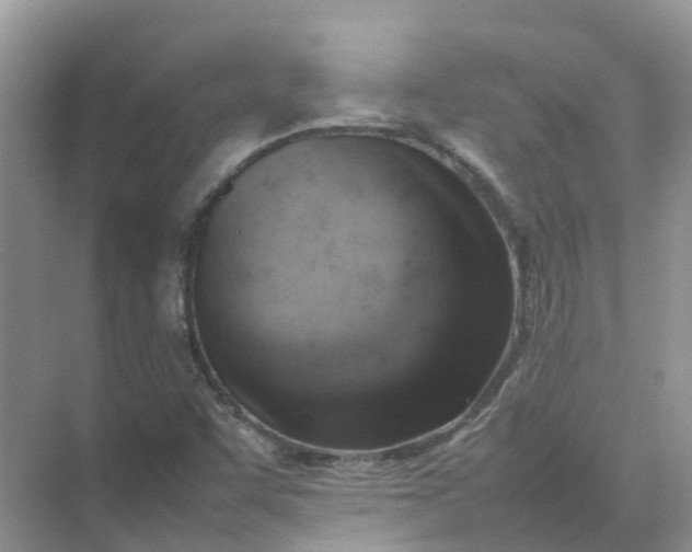 X0000074951455200609152018