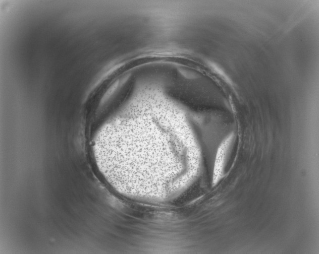 X0000074951456200609152018