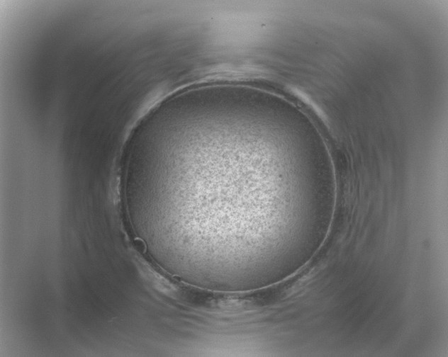 X0000074951459200609152018